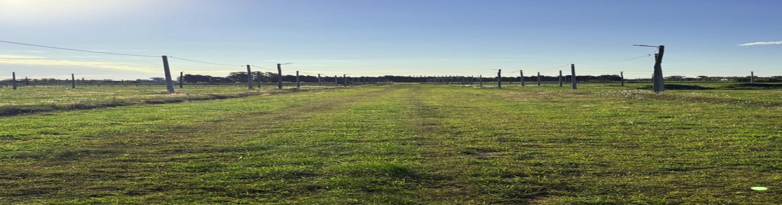 Parcela 13, Manzana 236-C Domínguez, Chacabuco, 0 , 0 ,0,Lote urbano,En venta,Domínguez,0,1005