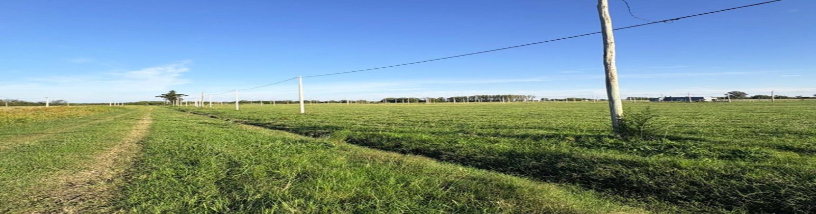 Dominguez & C. 159, Chacabuco, 0 , 0 ,0,Lote urbano,En venta,Dominguez & C. 159,0,1006