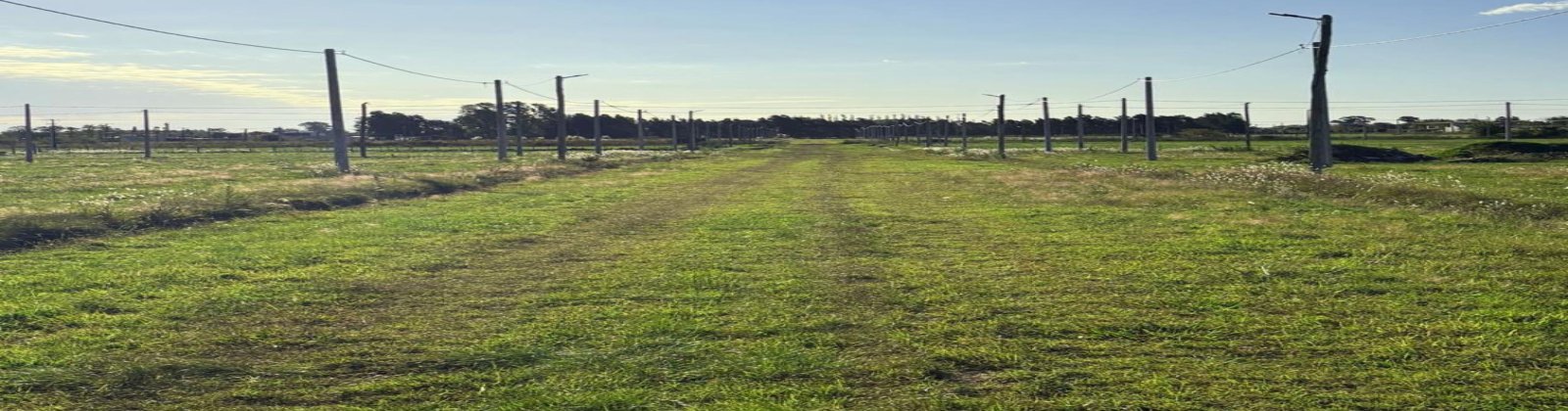 Dominguez & C. 159, Chacabuco, 0 , 0 ,0,Lote urbano,En venta,Dominguez & C. 159,0,1006